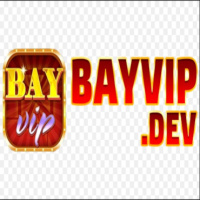 Bayvipdev