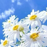 Богдан Юзвин