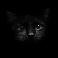 Алёна Иванова