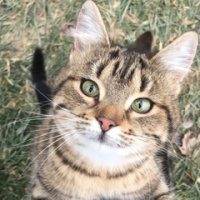 Алиса Леопольдовна