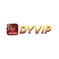 dyvip.vip