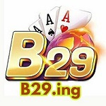 B29