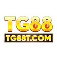 tg88tcom
