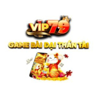 vip79cam1