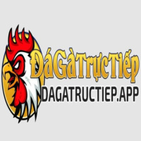 Đá gà trực tiếp