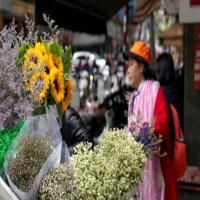 Tiệm hoa tươi hà nội