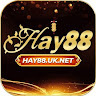 HAY88 uk net