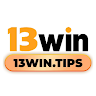 13wintips