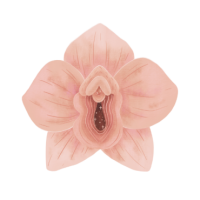 Yoni Massage Therapist