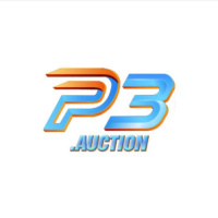 P3