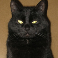 Андрей Репликонов