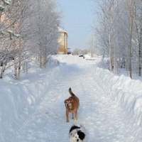 Екатерина Кычакова