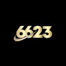 6623 chat