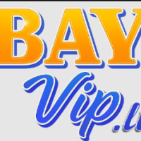 Bayvip