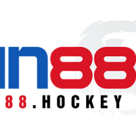 sin88hockey