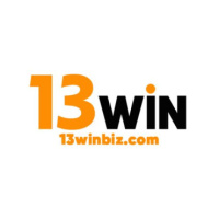 13winbiz Com
