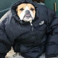 Вячеслав Бурак