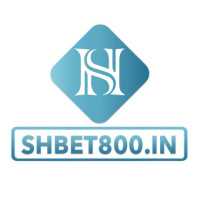 shbet800in