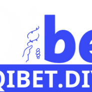 qibetdiy