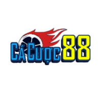 Trang cá độ bóng đá