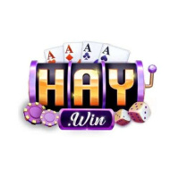 Haywin Sân chơi cá cược uy tín