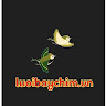 Luoibaychim Vn
