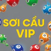 soicauvip