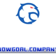 nowgoalcompany