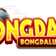 bongdalucodes