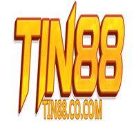 TIN88