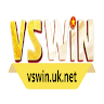 VSWIN