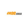 HM88 ninja