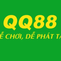 QQ8858 Net
