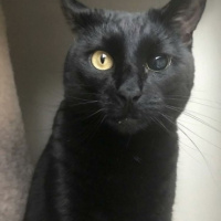 Александр Панов