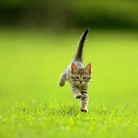 Домой до темноты