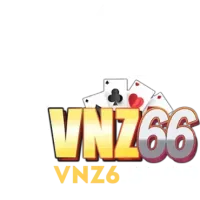 Vnz6shop