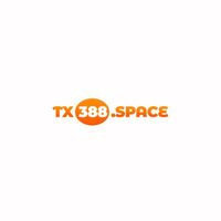 tx388space