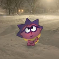 Василиса Пашкова