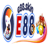 E88 SKIN