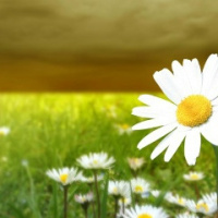 Зоя Сербинова