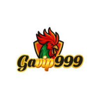 Gavip9999 Com