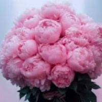 Наталья Рыбачук