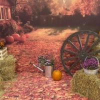 Елена Александровна Чудниченко