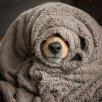 Дима Кулаженков