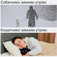 Сергей Абрашин