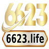 6623 life