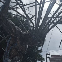 Татьяна Алейник