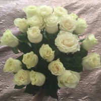 Светлана Милешина