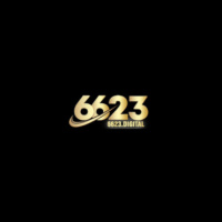 6623 digital