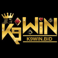 k9winbid